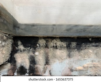 Fungus, Mold Or Mildew On A Window Frame Along The Edge Of A Wet Window. Dampness, Humidity And Condensation Problems. Home Inspection, Renovation And Realtor Issues.