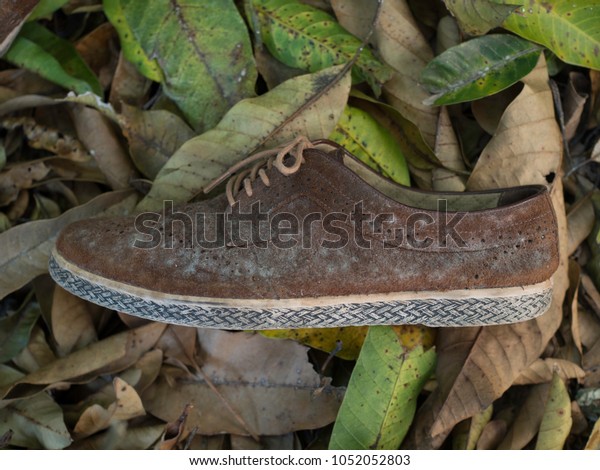 shoe fungus