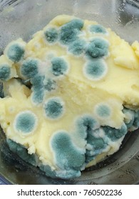 The fungus on the food contains bacteria and germs. It crushes fungus into rotten food.