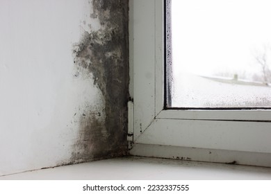 Fungus on the window and walls from excessive moisture in winter - Shutterstock ID 2232337555