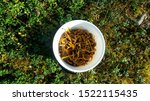 Funnel chanterelles or yellowfoot mushrooms in a white bucket on green forest surface. Delicious edible fungi. Photographed in Northern Carelia, Finland. 