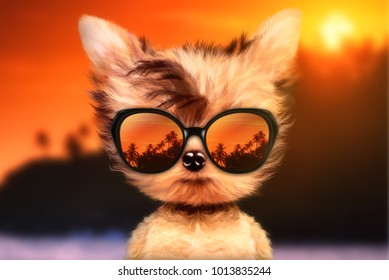 Funny adorable dog wearing sunglasses and stand in front travel background. Holiday and vacation concept. 
