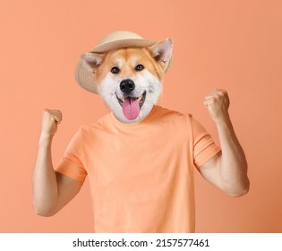 Funny Akita Dog With Human Body On Color Background