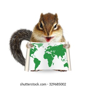 Funny Animal Chipmunk Holding Map On White Background