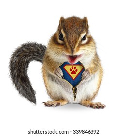 Funny Animal Super Hero, Squirrel Unbuckle His Fur, Isolated On White