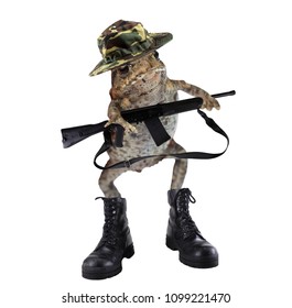 Image result for frog soldier pics