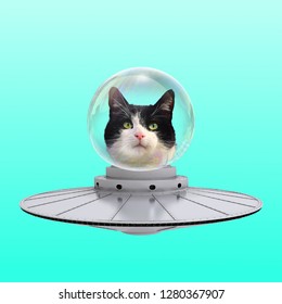 Funny art collage. Concept Cat Ufo on blue background.