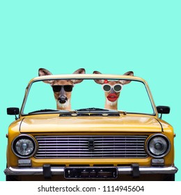 Funny Art Collage. Two Happy Deers In The Car Go For Vacations