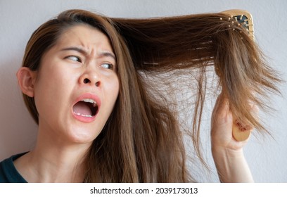 Funny Asian Woman Having Problem Of Her Thick Hair While Using Hair Brush. Thick Hair Weights More Than Thin Hair And Prone To Damage And Frizzy.