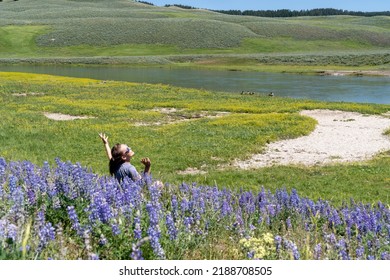 Funny, Awkward Photo Of A Woman In A Field Of Lupine Wildflowers, With Arms Up, Taken In Yellowstone National Park