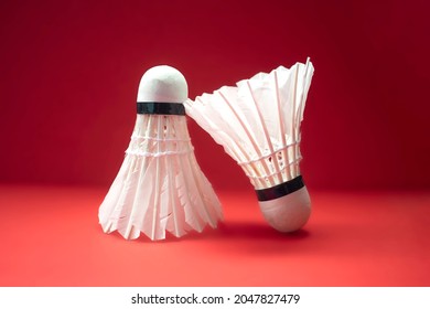 1,508 Badminton funny Images, Stock Photos & Vectors | Shutterstock