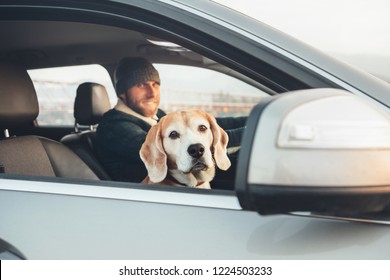 beagle driver