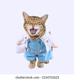 Funny Bengal Cat Dressed Up In A Doctor Costume On White Background