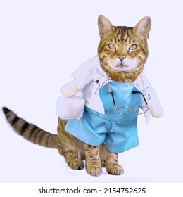 Funny Bengal Cat Dressed Up In A Doctor Costume On White Background