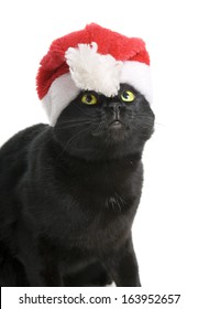 Funny Black Cat Santa - Cute Christmas Cat