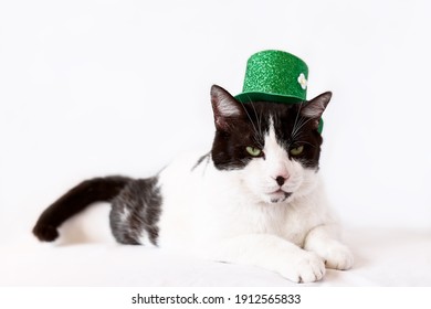 Funny Black And White Cat Wearing A Green Leprechaun Hat. Saint Patricks Day. Irish Holiday