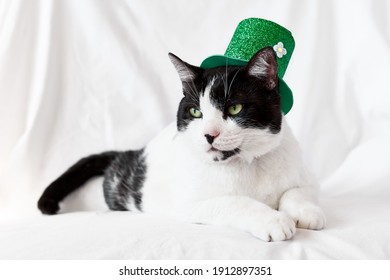 Funny Black And White Cat Wearing A Green Leprechaun Hat. Saint Patricks Day. Irish Holiday