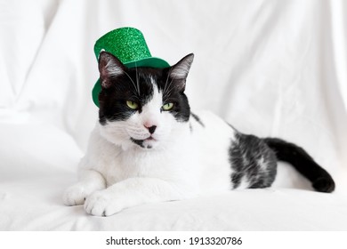 Funny Black And White Cat Wearing A Green Leprechaun Hat. Saint Patricks Day. Irish Holiday. International Cat Day,