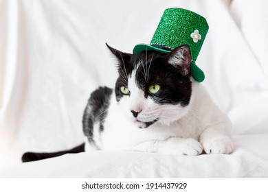 Funny Black And White Cat Wearing A Green Leprechaun Hat. Saint Patricks Day. Irish Holiday. International Cat Day,