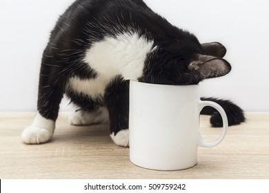 Funny black-white cat crawled into a white coffee mug. Design a coffee mug.