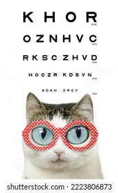 Funny Blue Eyed Cat In Myopia Eye Glasses Red Rim With Hearts Close Up Portrait With Eye Chart