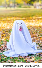 6,240 Ghosts Sitting Stock Photos, Images & Photography | Shutterstock