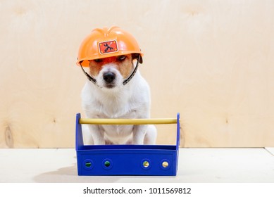 155 Animal wearing hardhat Images, Stock Photos & Vectors | Shutterstock