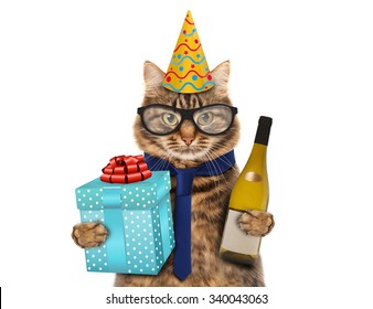 Funny cat celebrates birthday
