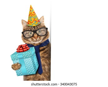 Funny cat celebrates birthday
