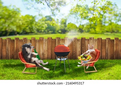 Funny Cat And Dog Relaxing At Backyard And Having Picnic With Bbq