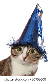 Funny Cat With Expressive Eyes In A Festive Hat