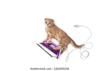 Funny cat flying on the electric iron, doing housework isolated on white background. Copy space. Holiday card creative concept, banner, advertising electronics hardware store