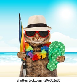 Funny Cat Going On Vacation
