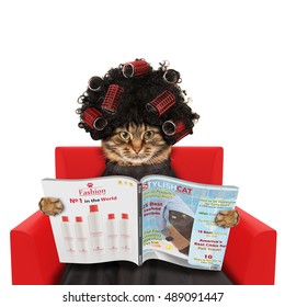 Funny Cat At The Hairdresser Reading A Magazine On White Background. In A Beauty Salon.