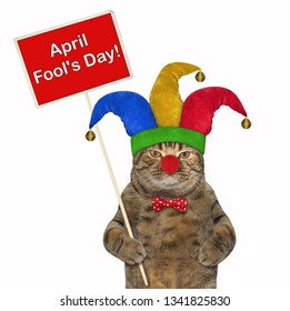 The Funny Cat In A Jester Hat Holds The Poster. April Fools Day. White Background. Isolated.