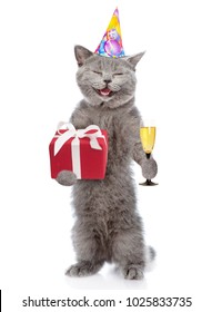 Funny cat in party hat holding glass of champagne and gift box. isolated on white background