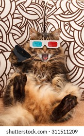 Funny Cat With A Remote Control To TV.