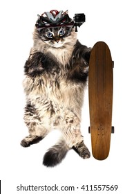 funny cat with skateboard and action cam isolated