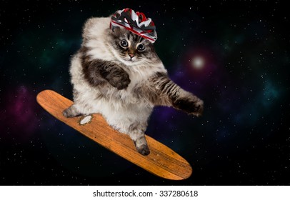 Funny Cat Skating In Cosmos