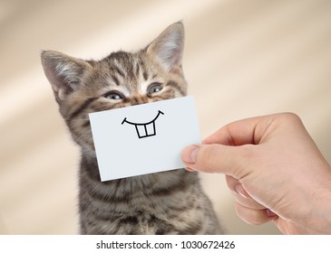 funny cat with smile on cardboard - Shutterstock ID 1030672426