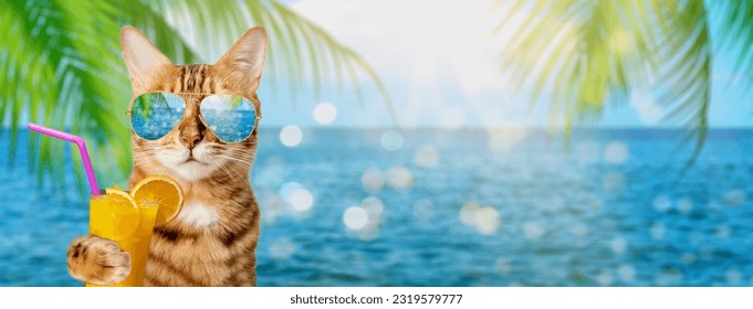 Funny cat in sunglasses holds a tropical cocktail on the background of the sea or ocean. - Powered by Shutterstock