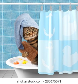 Funny Cat Taking A Bath.