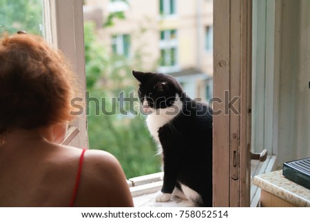 funny cat walks by open window の写真素材 今すぐ編集 758052514