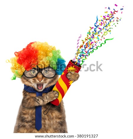 Funny cat is wearing costume clown and holding a petard.