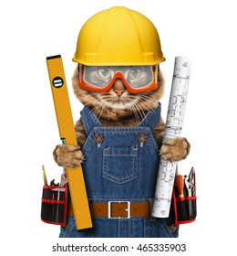 Funny Cat Is Wearing A Suit Of Builder. Craftsman On The White Background. 
It Is Holding A Builder's Level And Project Plan. 