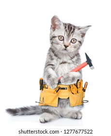 Funny Cat Worker With Toolbelt And Hammer.  Isolated On White Background