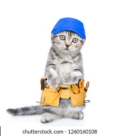 Funny Cat Worker With Toolbelt.  Isolated On White Background