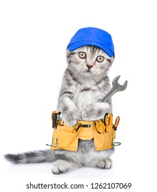 Funny Cat Worker With Toolbelt And Wrench.  Isolated On White Background