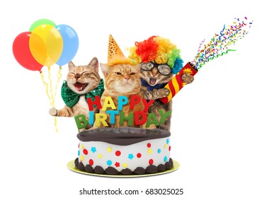 Funny cats with happy birthday cake. They are wearing a party hat, isolated on white background. - Powered by Shutterstock