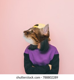 Funny Cat's Head With Human Body In Sweater. Fashion Contemporary Art Collage.